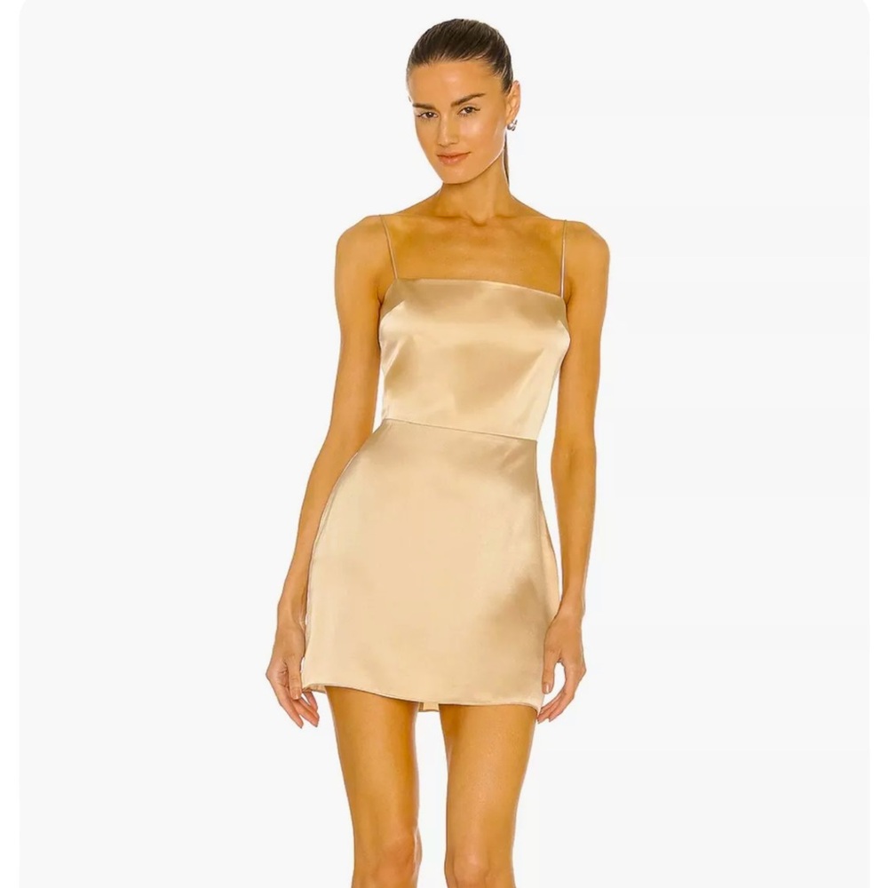 NWOT XS Amanda Uprichard Avani Dress